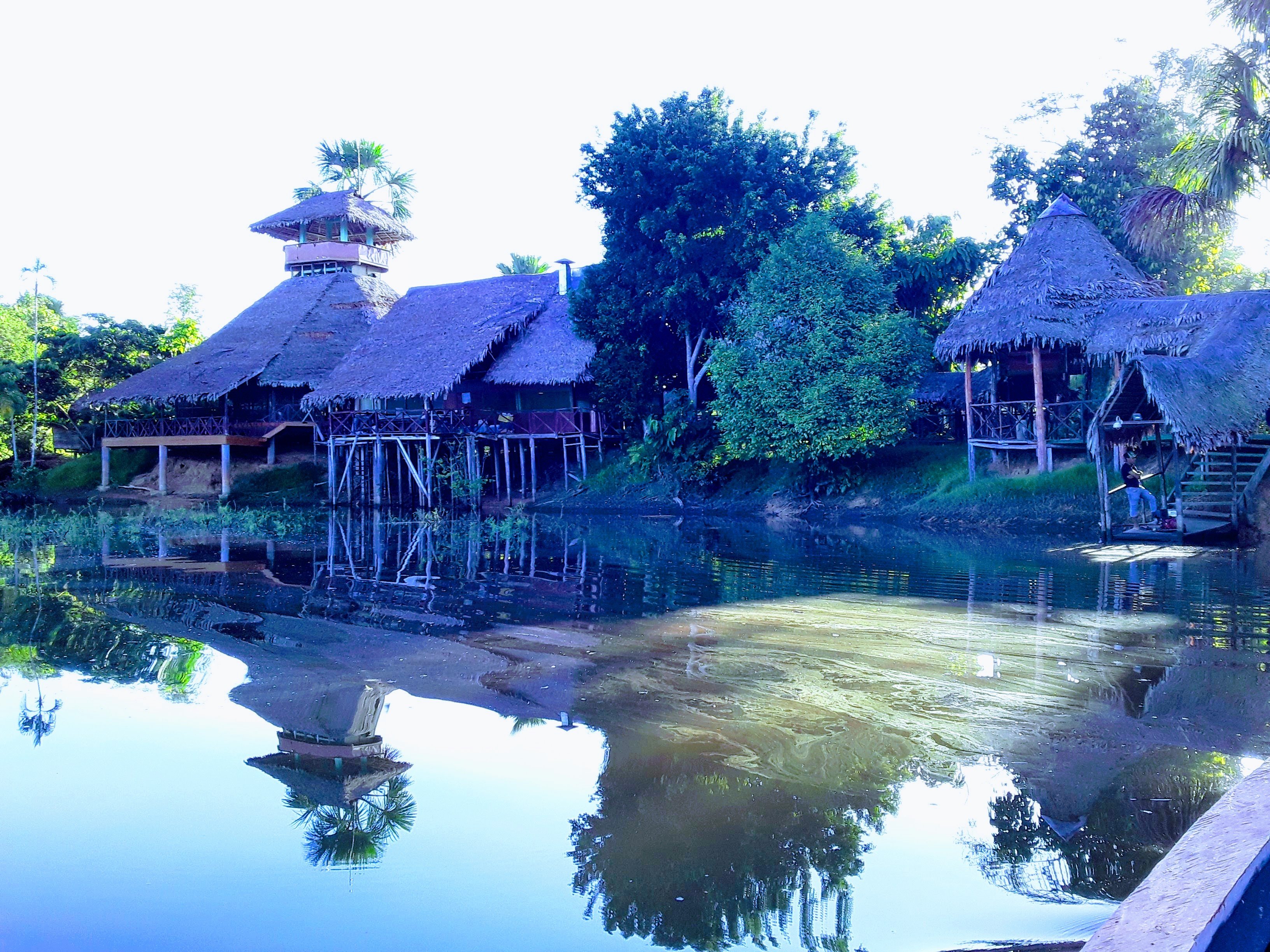 Amazon Rainforest Lodge-餐饮