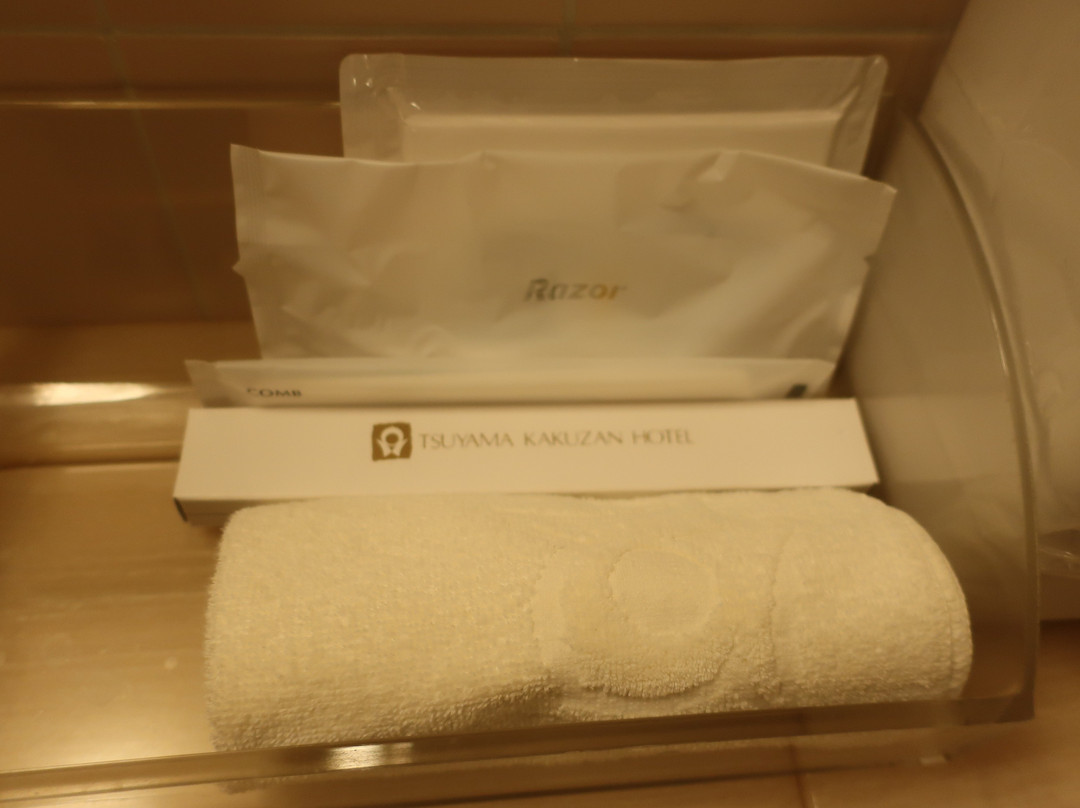 Tsuyama Kakuzan Hotel主图