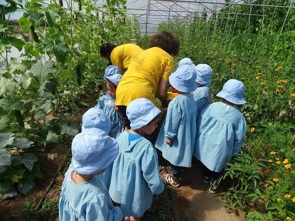 Quinta Pedagogica da Caria景点图片