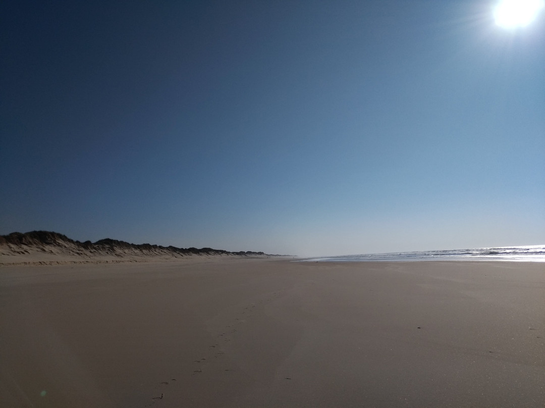Osso da Baleia Beach景点图片