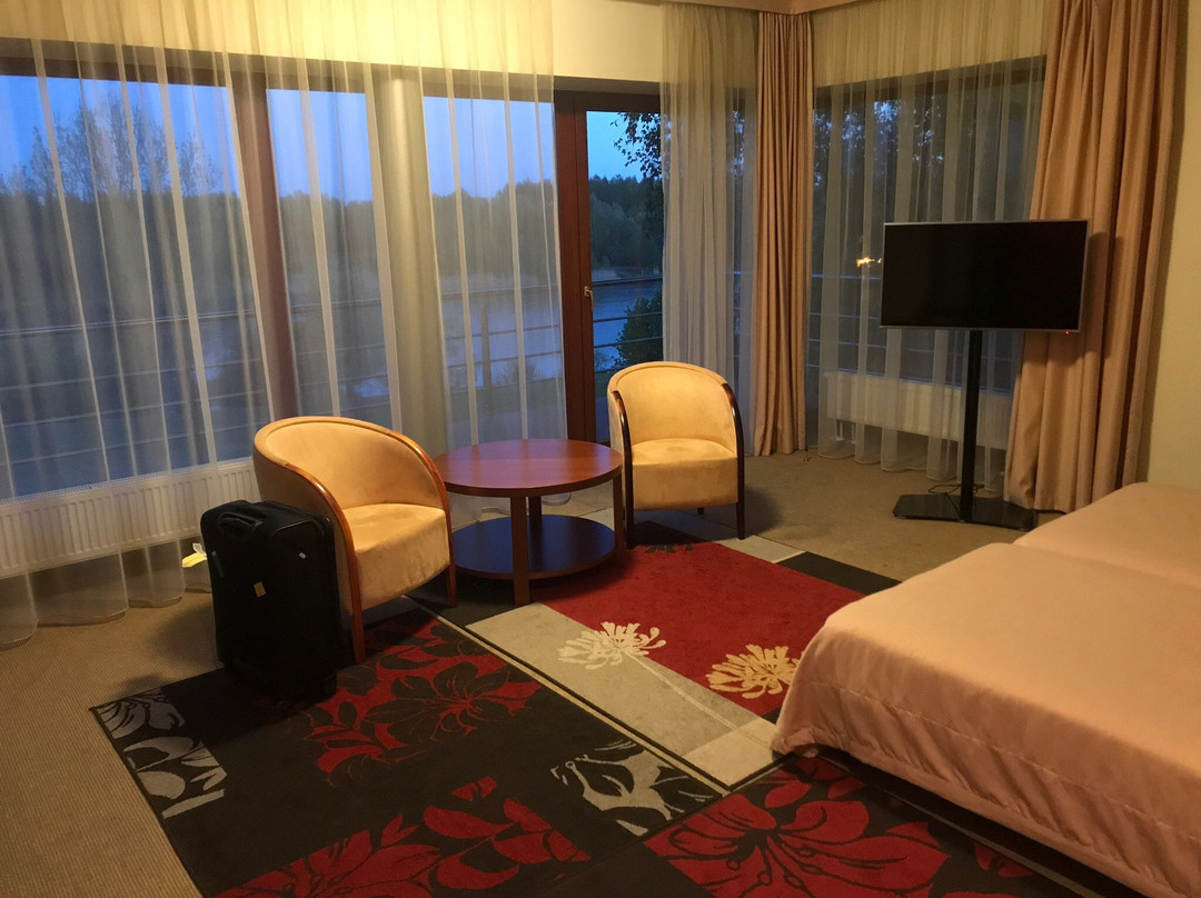 Hotel Vingis主图