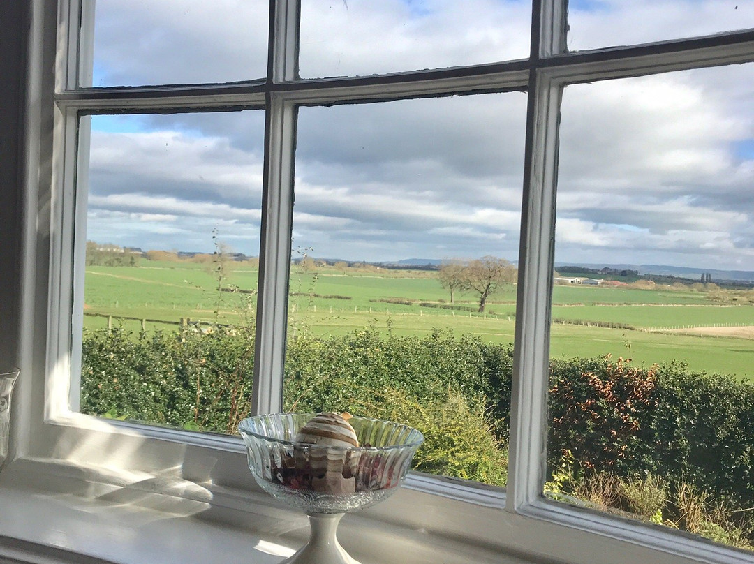 Cundall Lodge Farm Bed & Breakfast主图