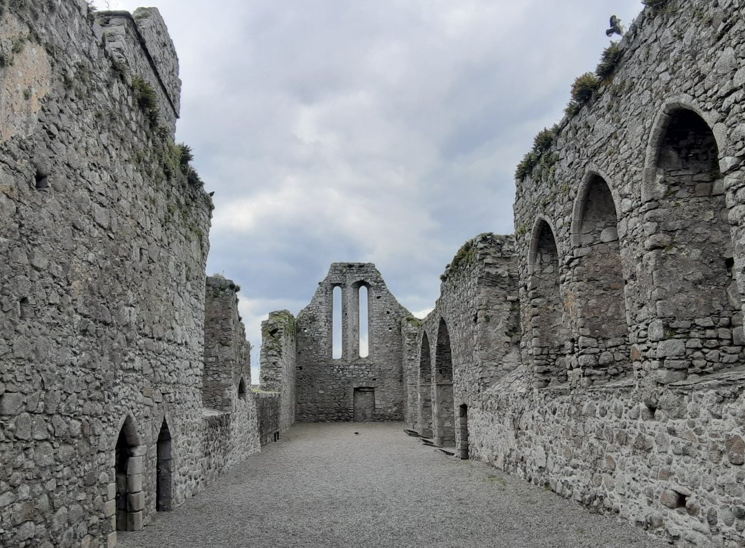 Castledermot Friary景点图片