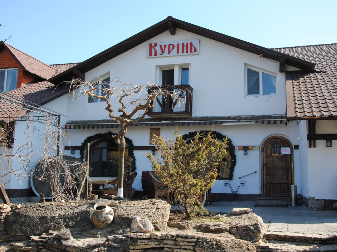 Vysuntsi旅游攻略图片