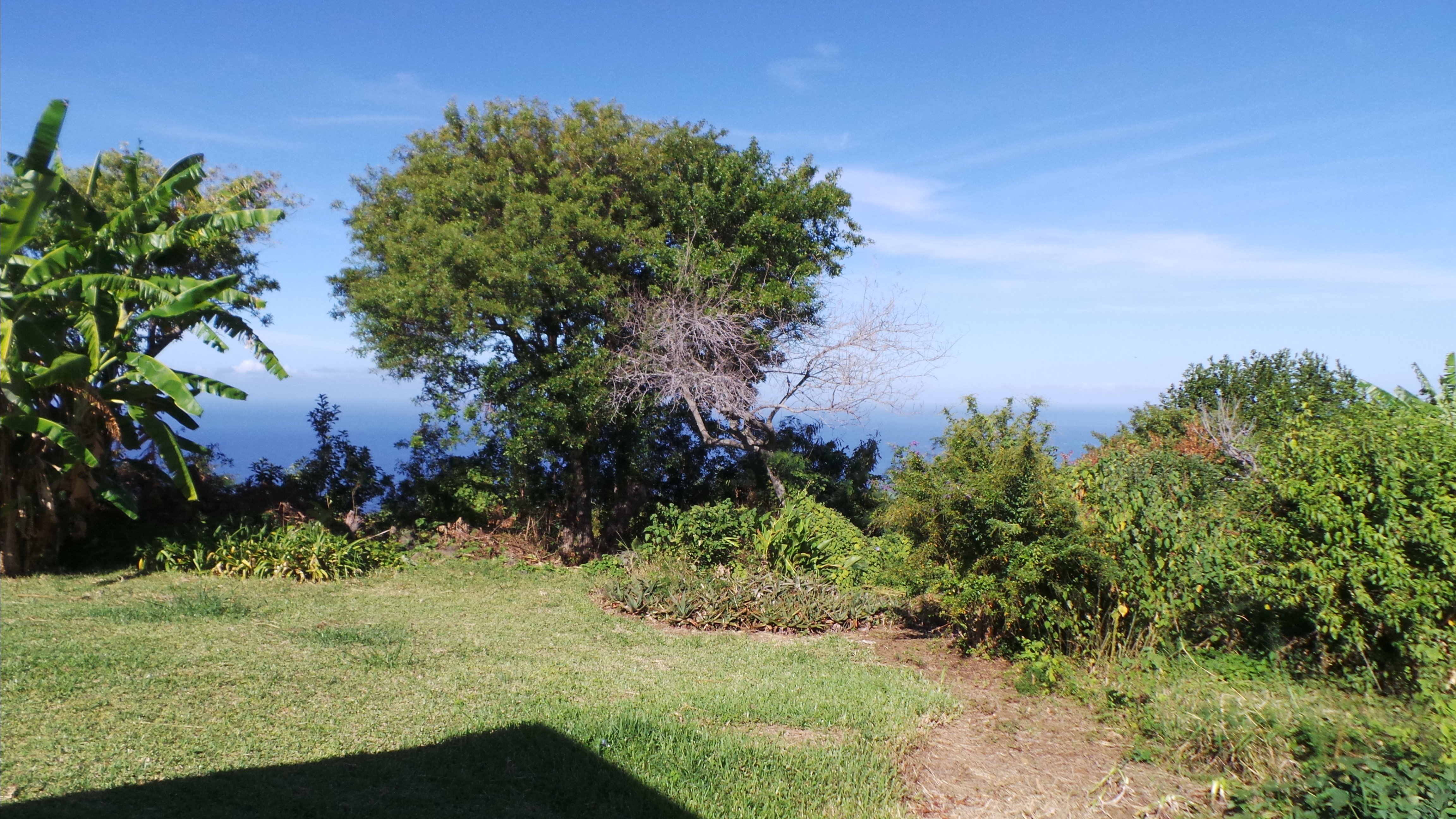 La Cour Mont-Vert-酒店景观