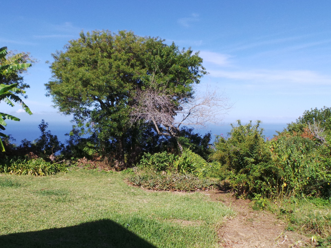 La Cour Mont-Vert主图