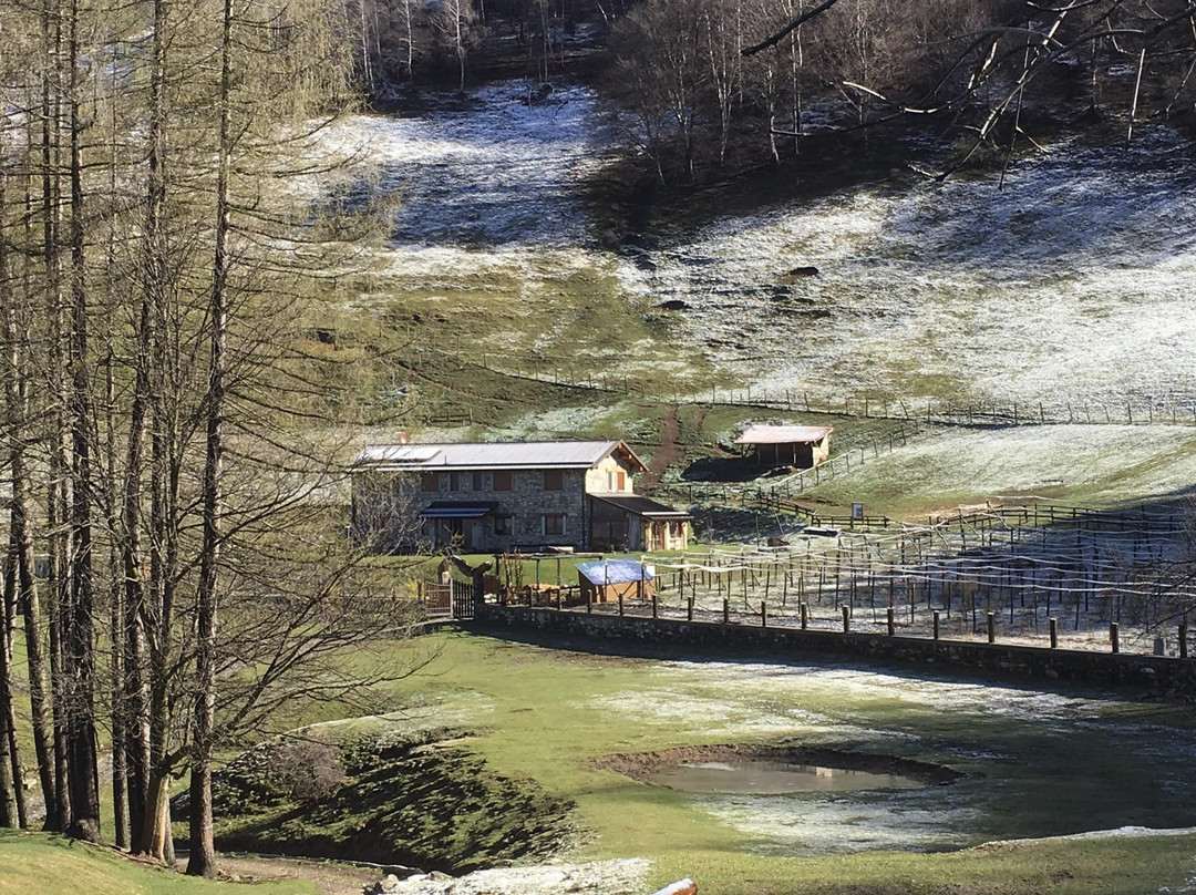 Passeggiata con i Lama-Blessagno必去景点