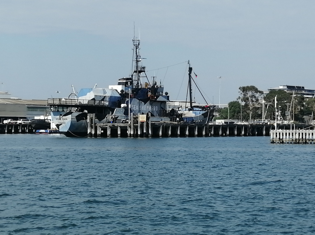 St Kilda Ferry景点图片