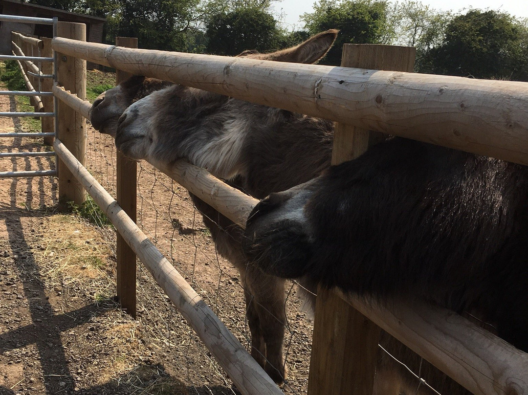 Floralands Farm Park景点图片