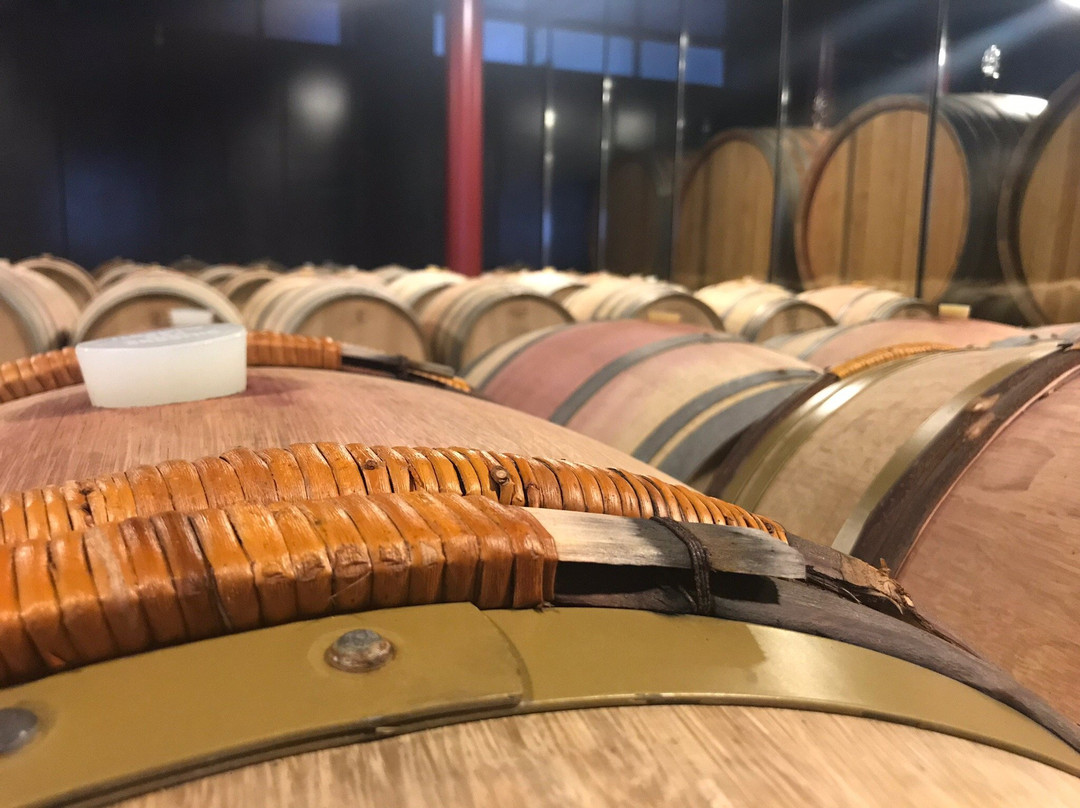 Cantina Domenico Clerico-蒙福特-达尔巴必去景点