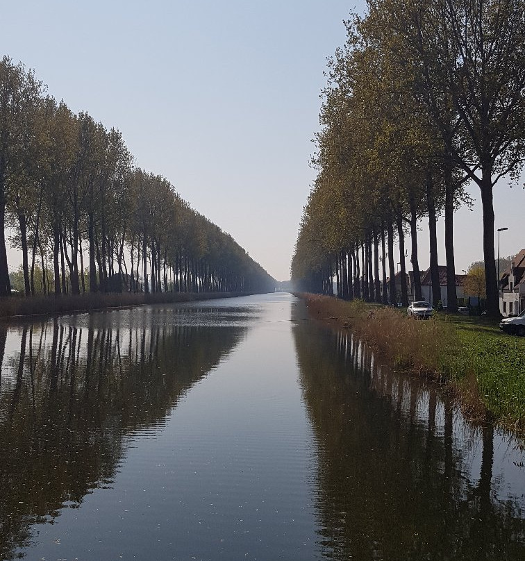 Ben's Bike景点图片