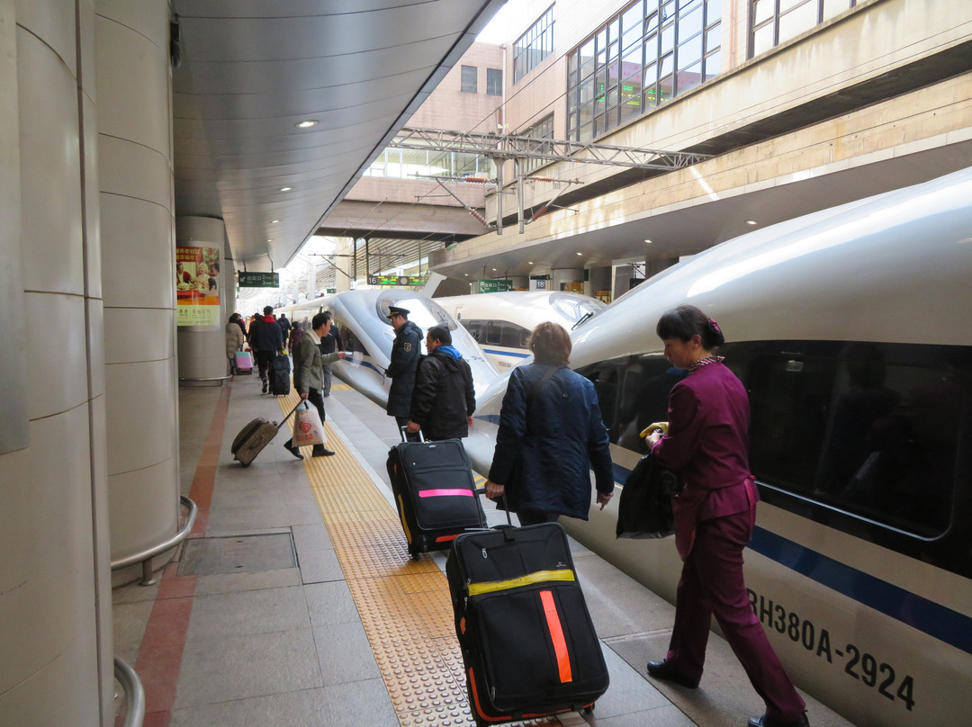 Authentic China Travel-郑州市必去景点