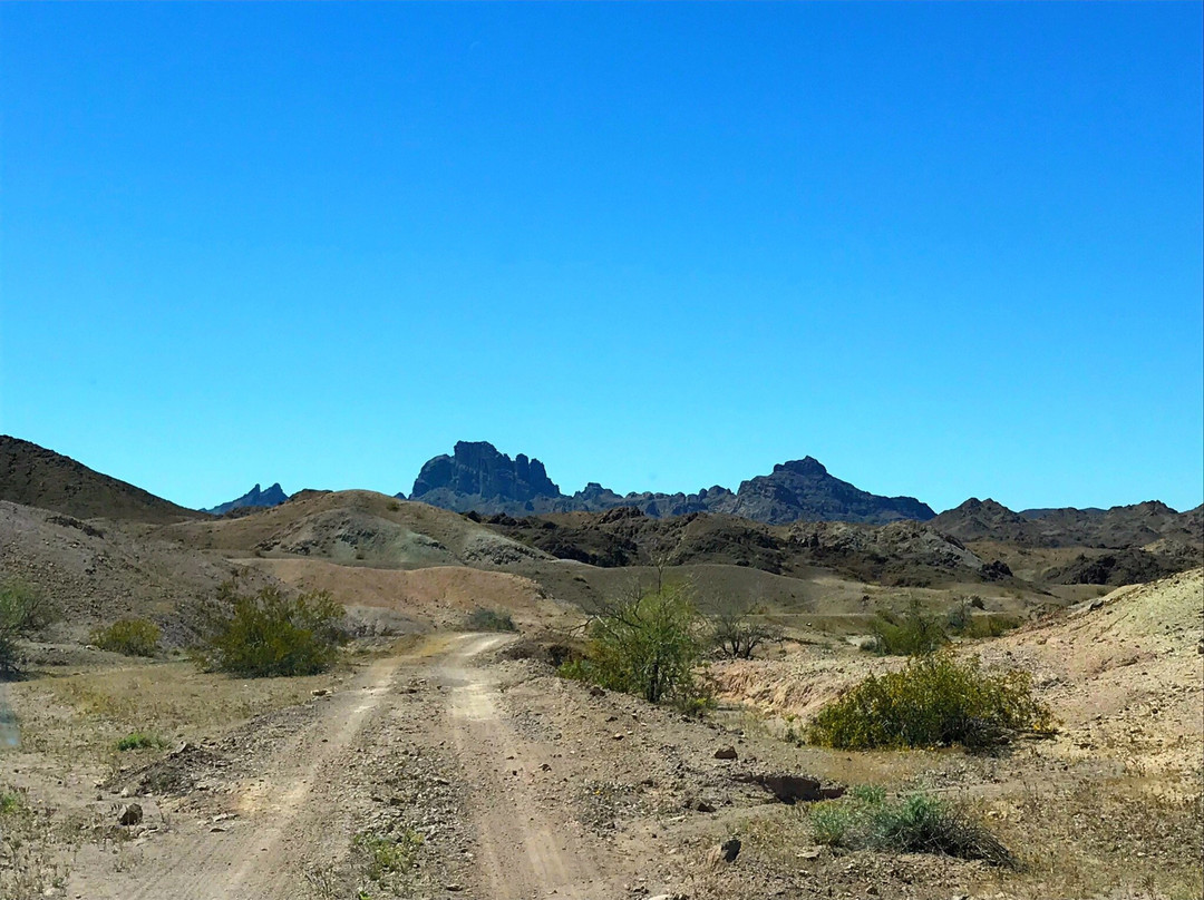 Picacho State Recreation Area-Winterhaven必去景点