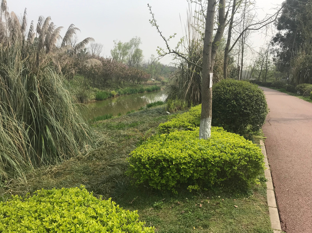 白鹭湾生态湿地公园-成都必去景点