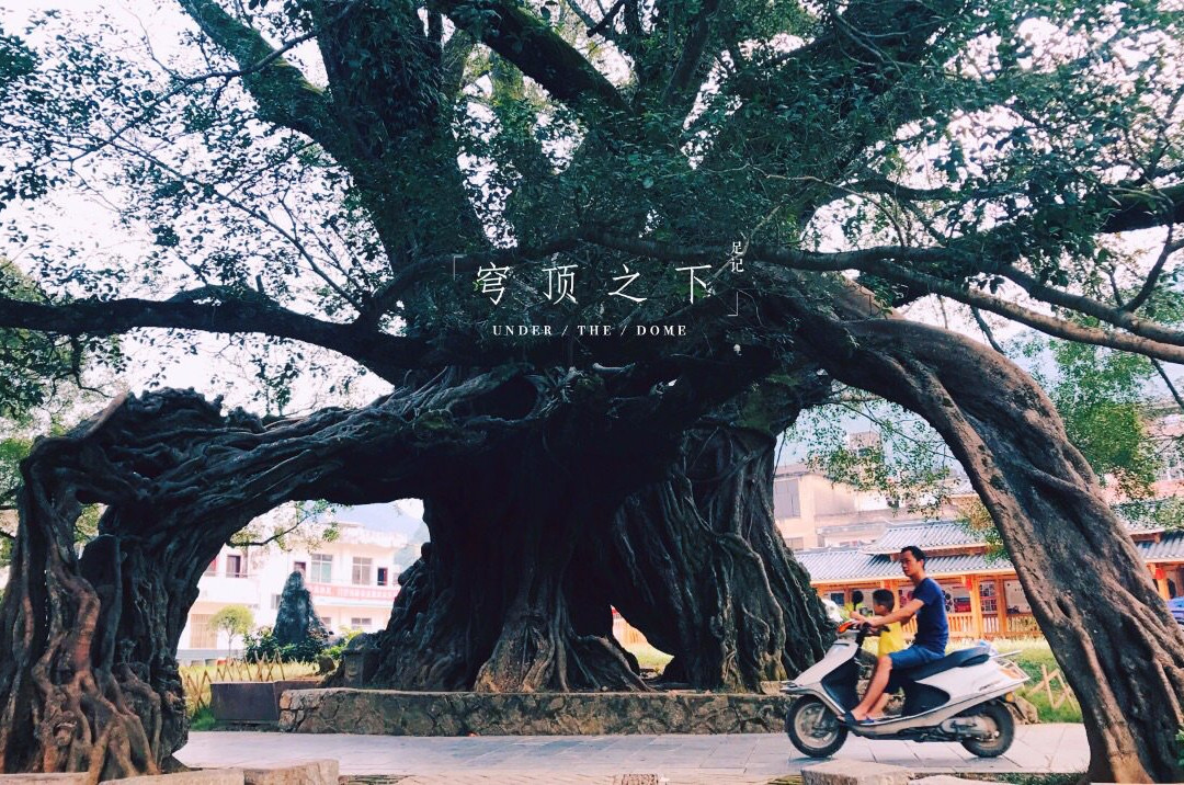榕津千年古街-平乐县必去景点