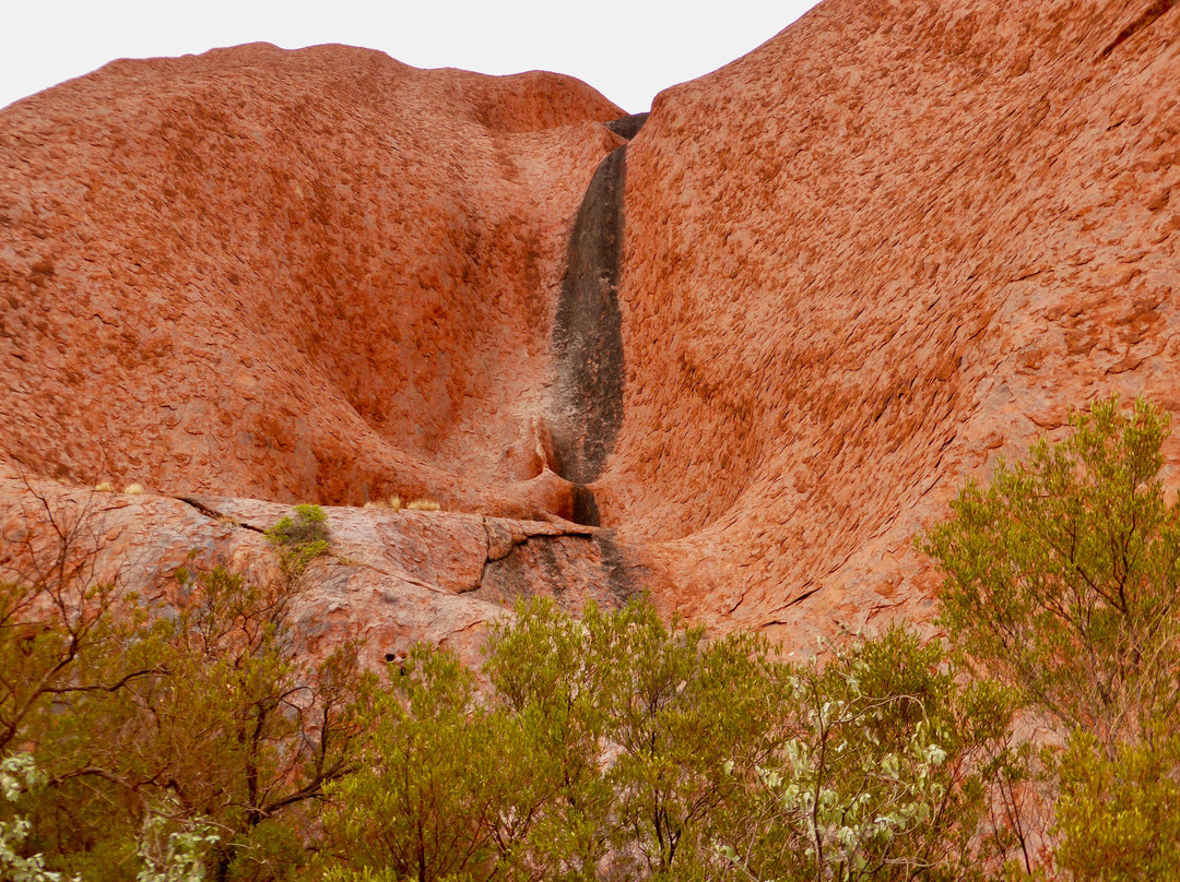 Uluru景点图片