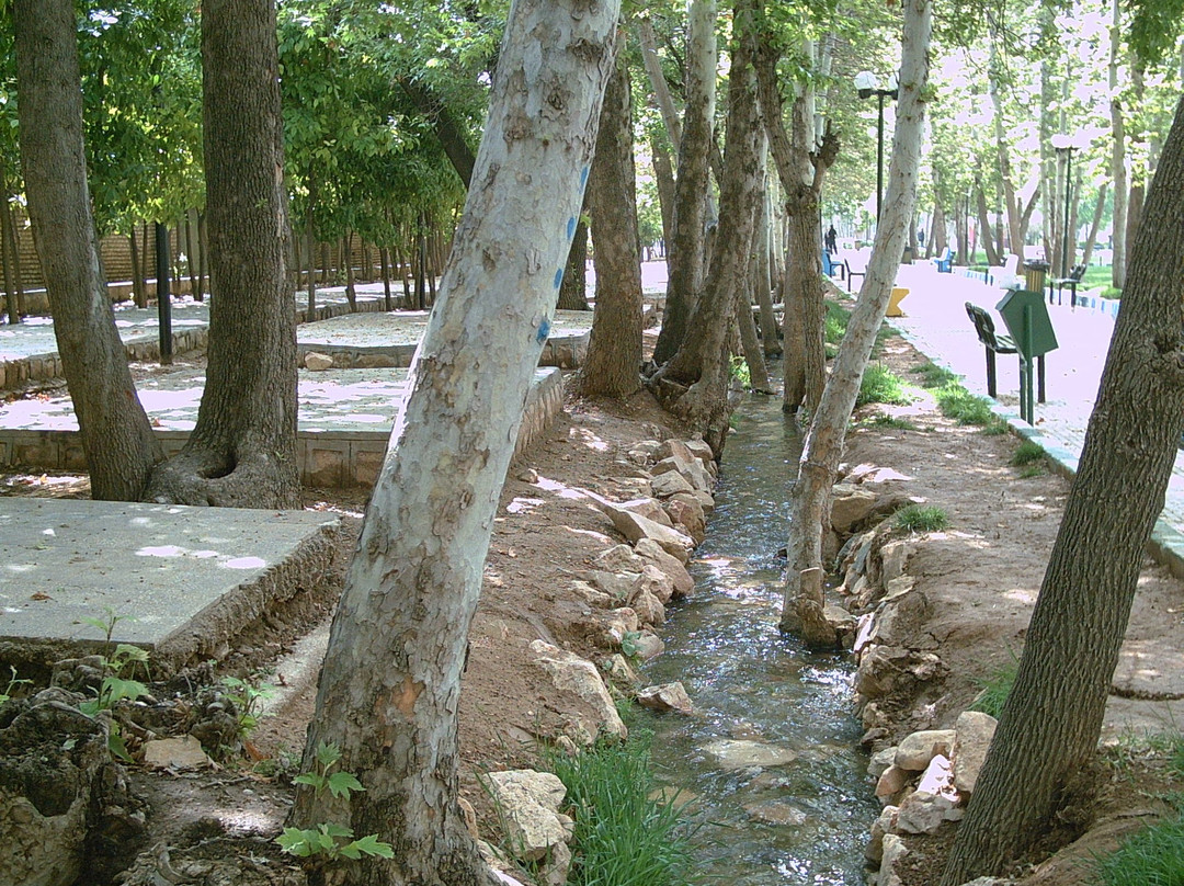 Park Khold-e-Barin景点图片