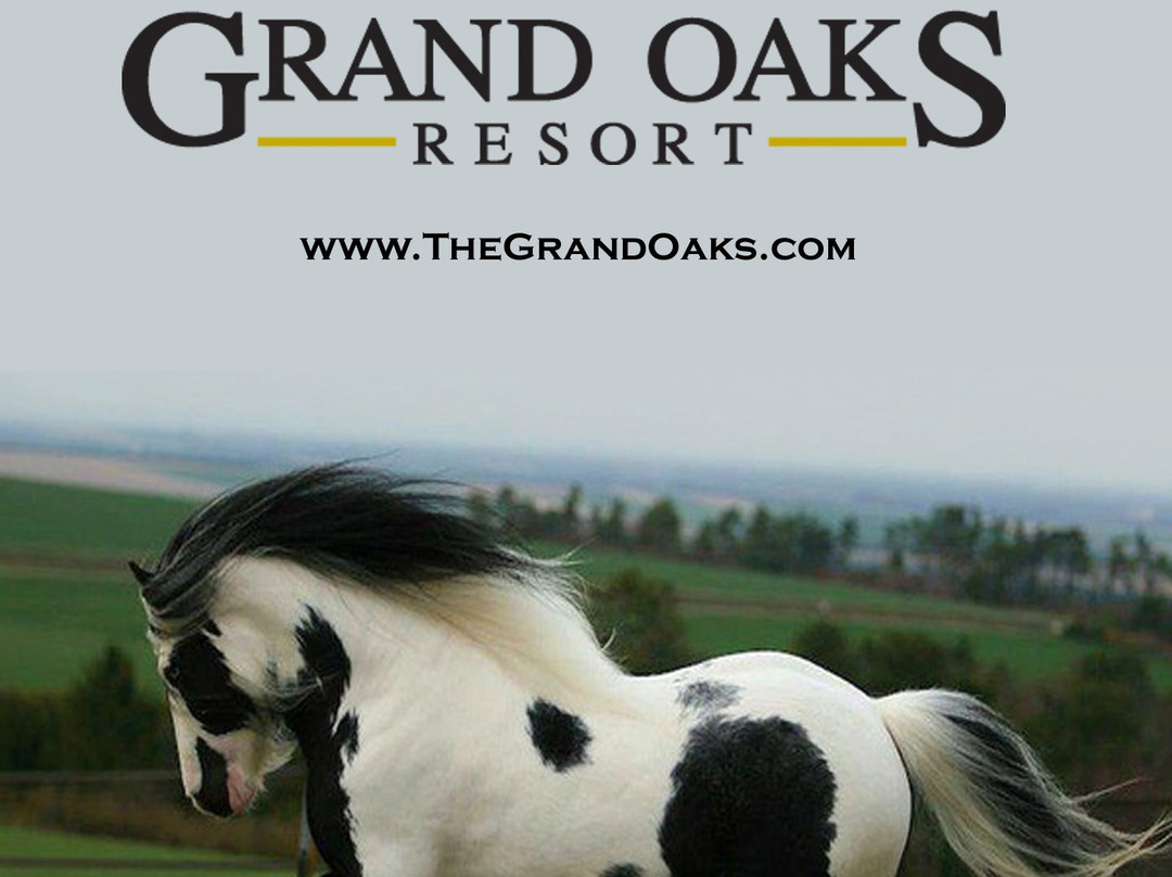 Grand Oaks Resort景点图片