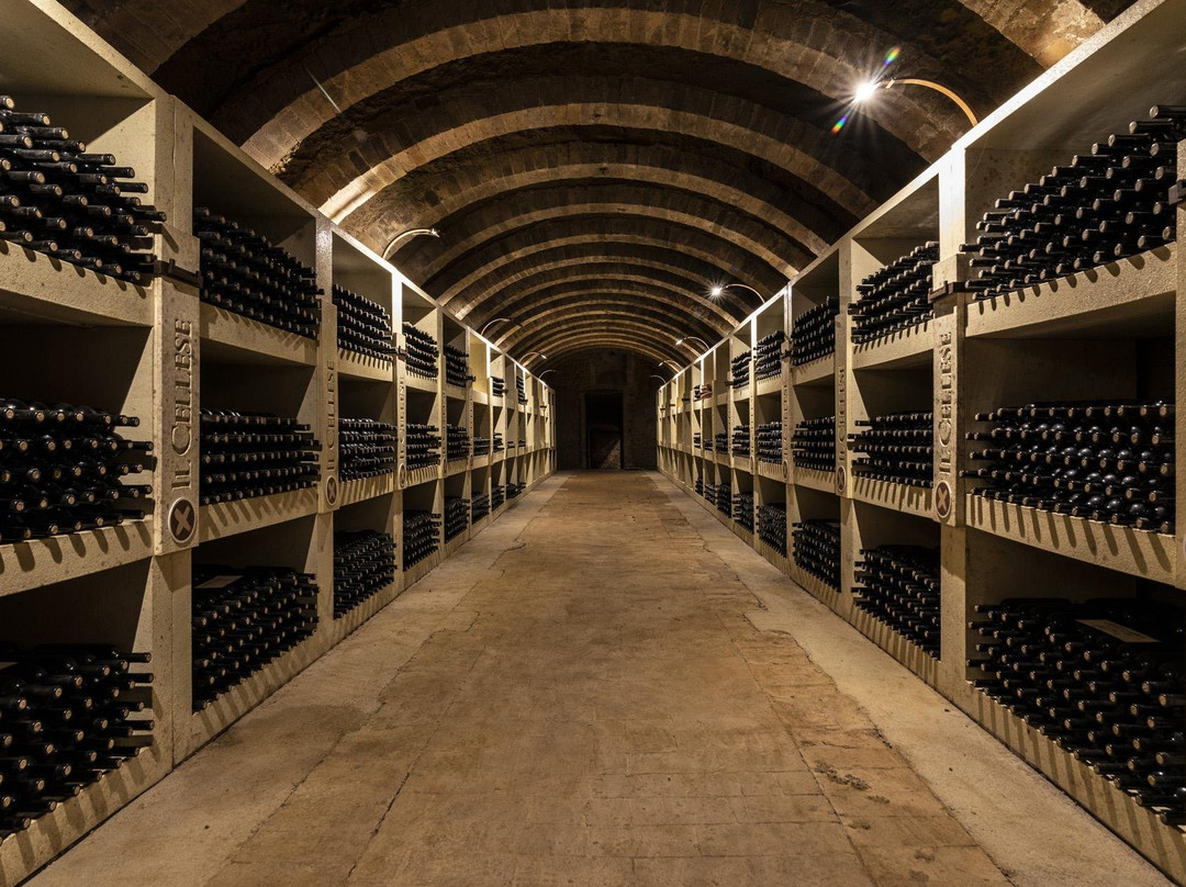 Il Cellese winery Boutique-波吉邦西必去景点