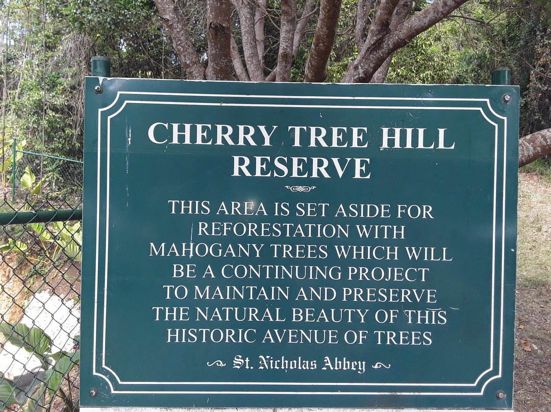 Cherry Tree Hill景点图片