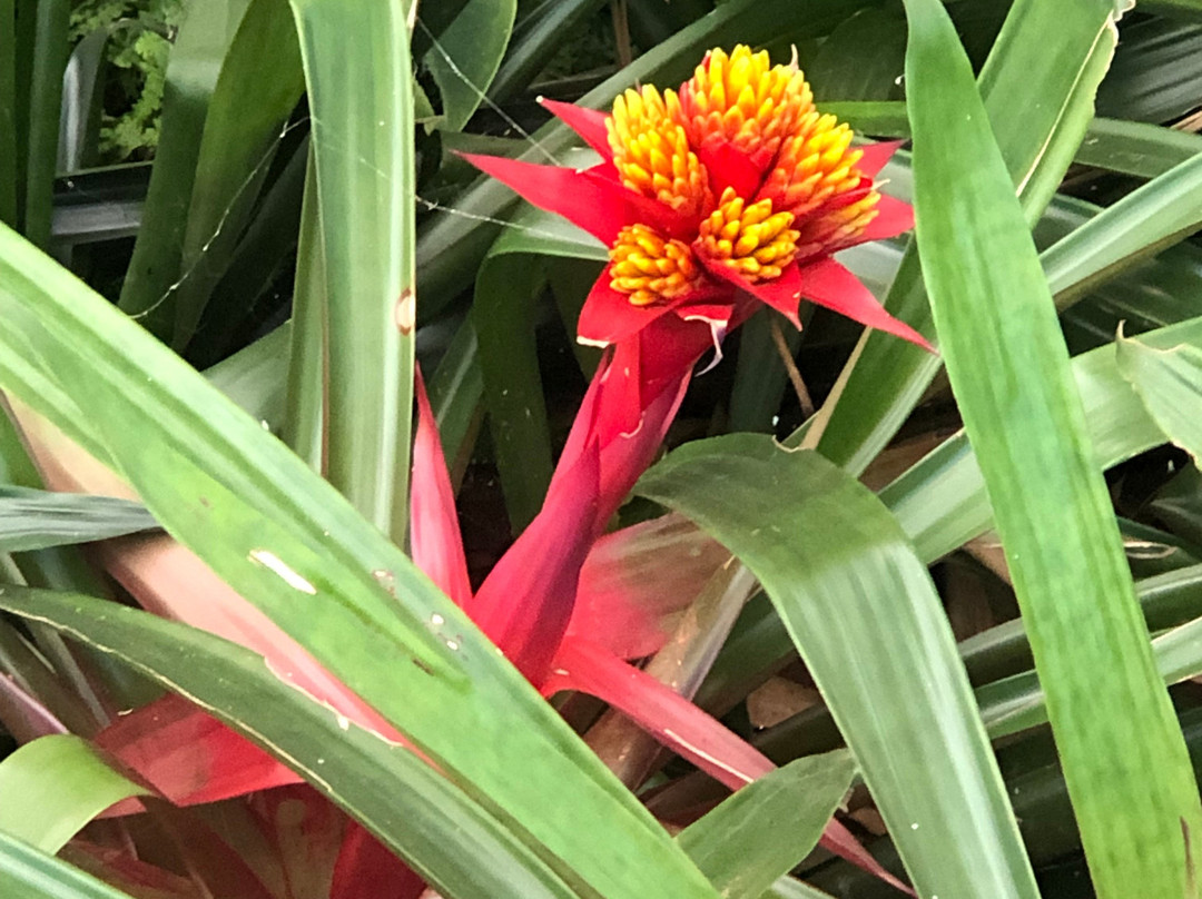 Doi Pha Mon Agricultural Center-汤县必去景点