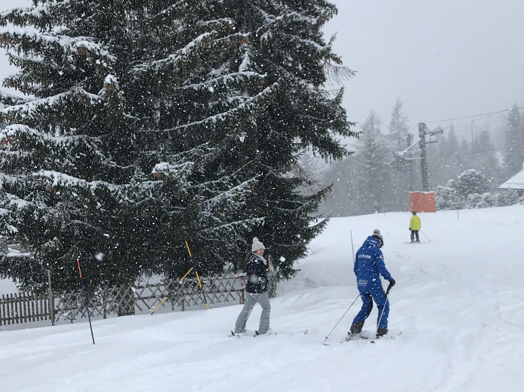 Altitude Ski and Snowboard School景点图片