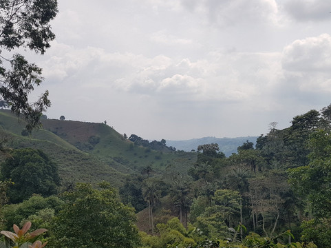 Finca Momota-萨伦托必去景点