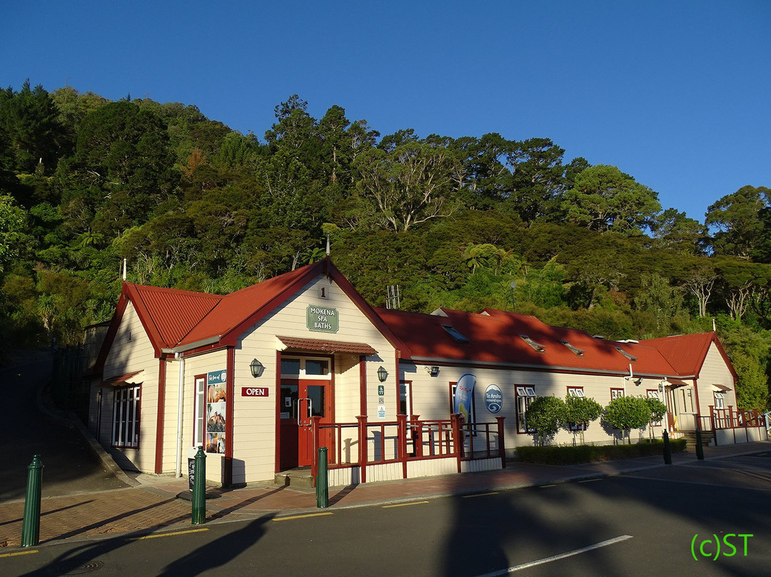Te Aroha Mineral Spa景点图片