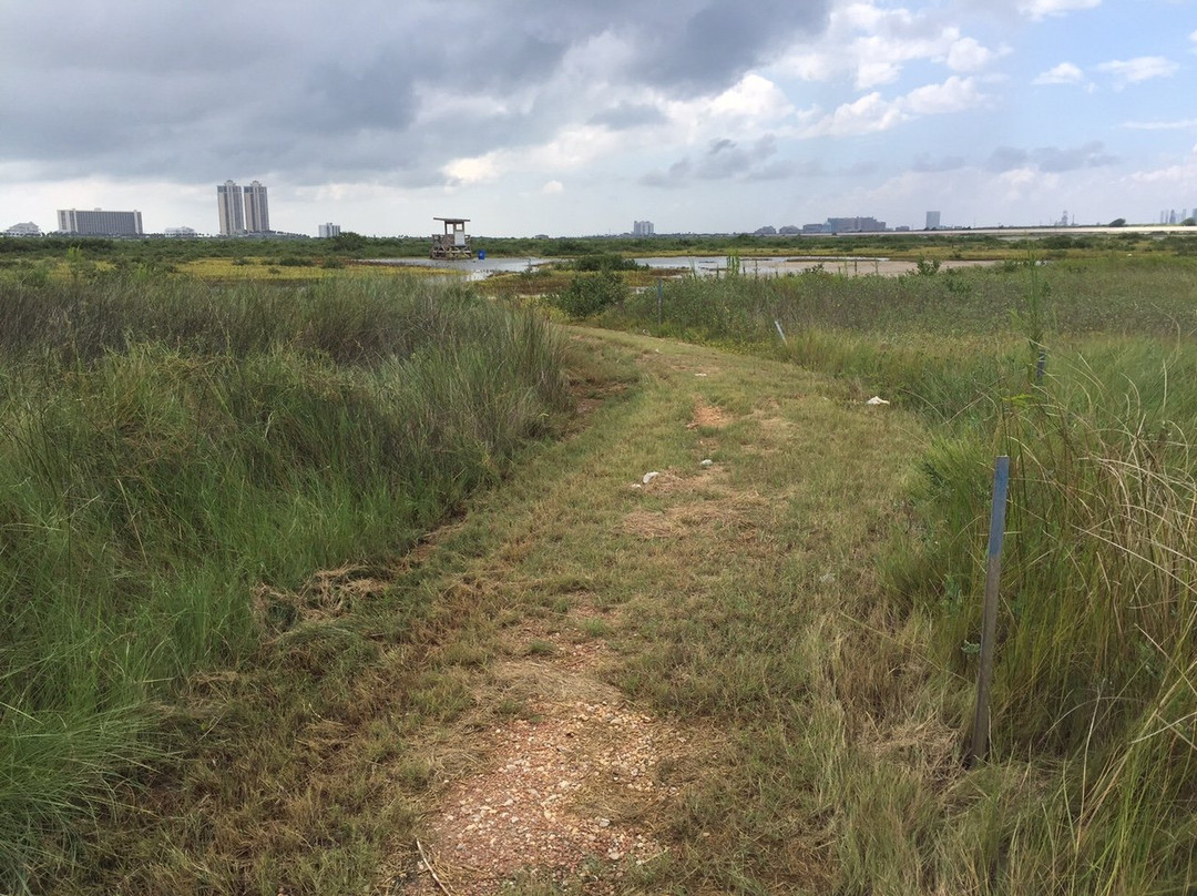 East End Lagoon Nature Preserve-盖维斯顿必去景点