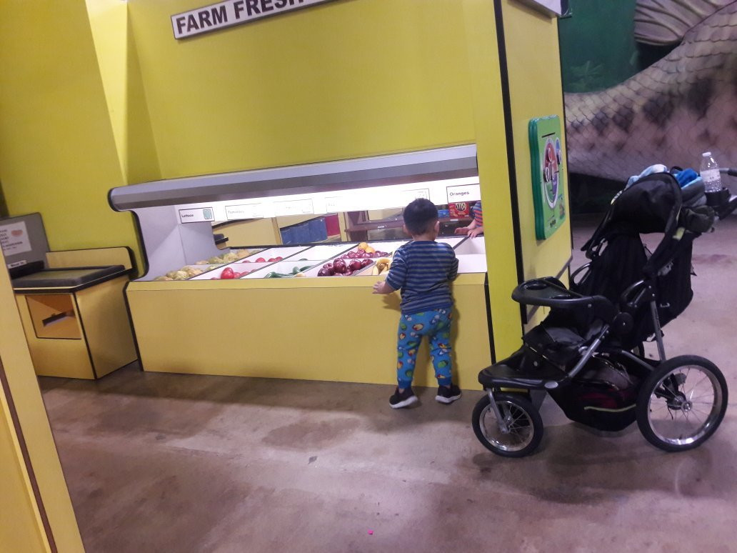 Children's Museum of Stockton-斯托克顿必去景点