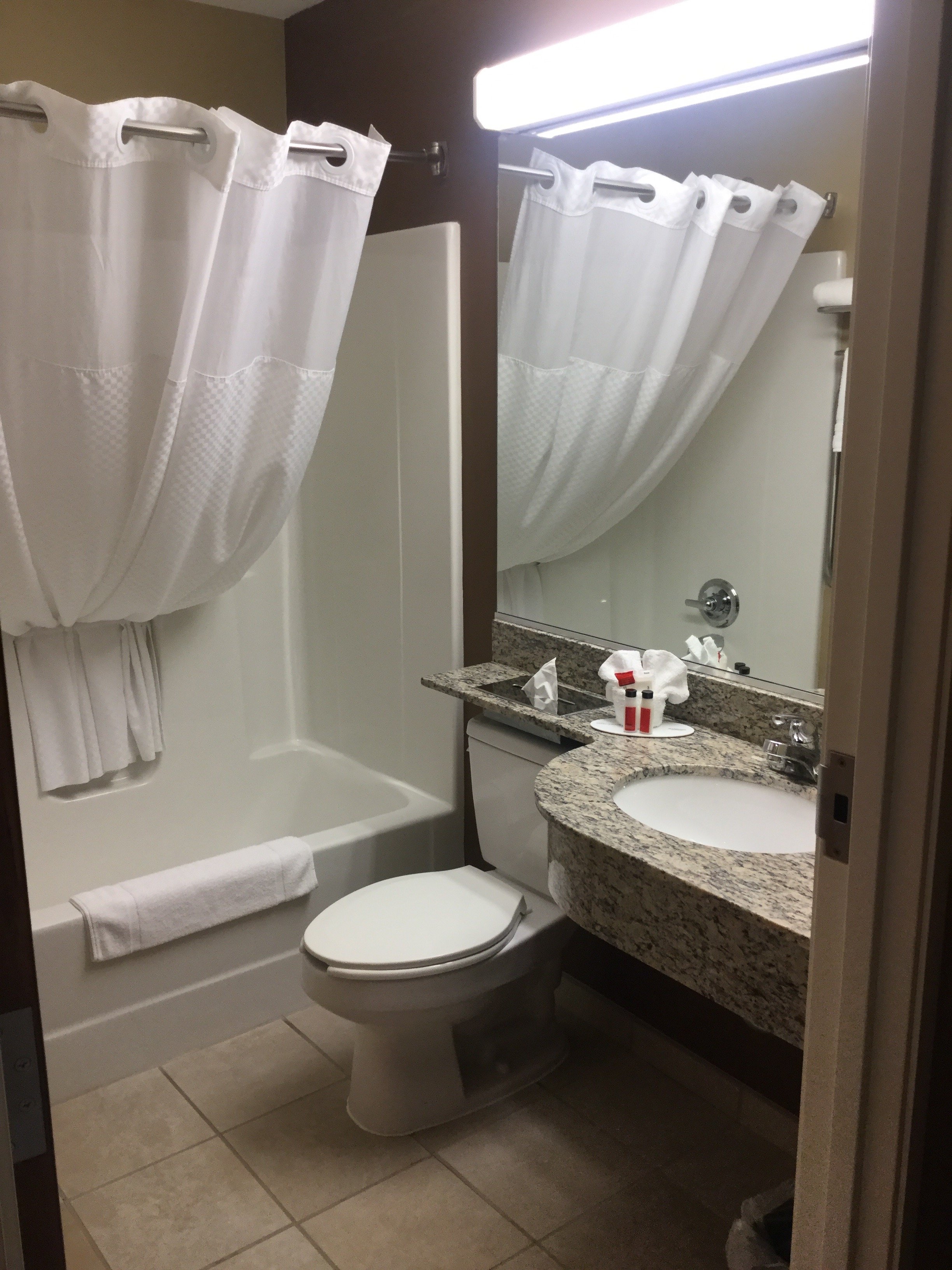 Microtel Inn & Suites by Wyndham Marietta-浴室