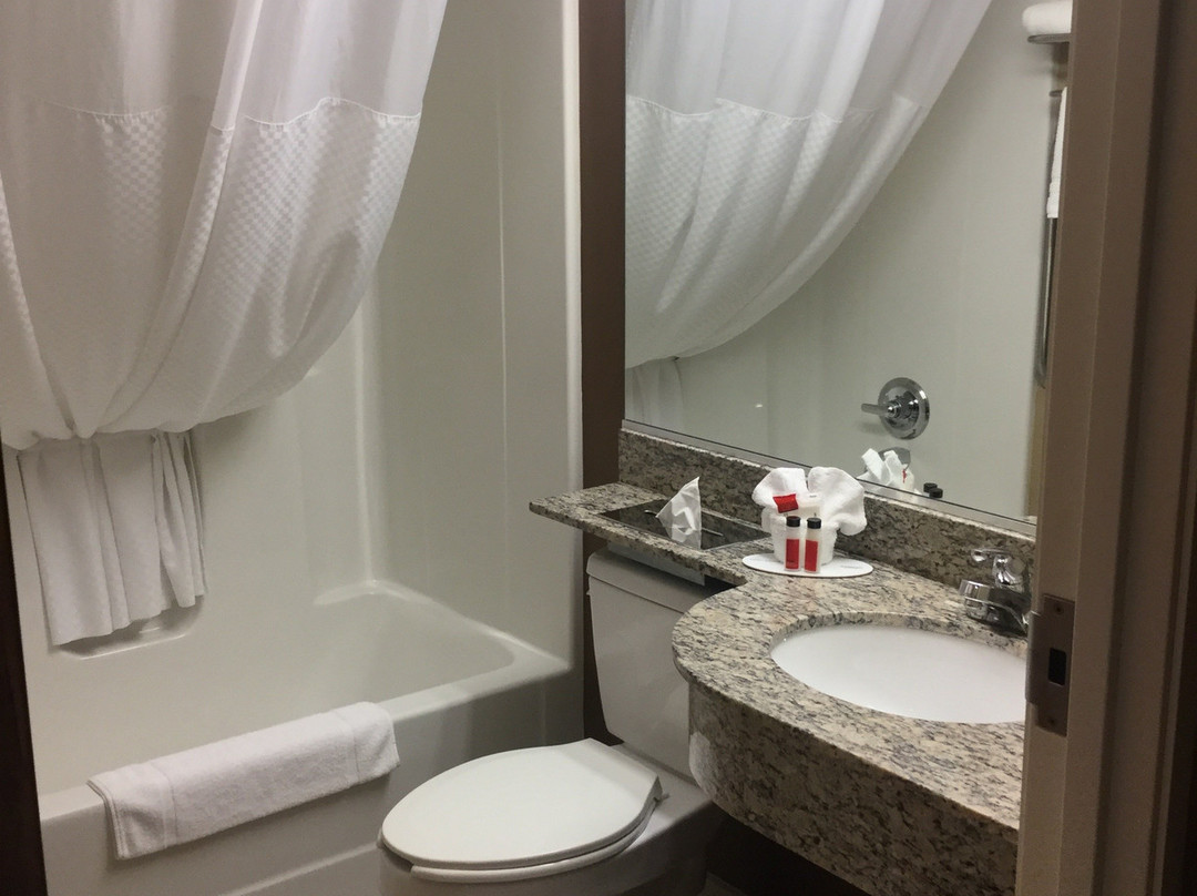 Microtel Inn & Suites by Wyndham Marietta主图