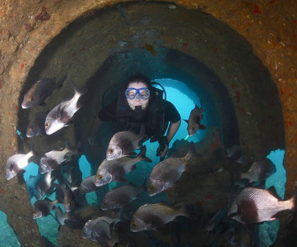 Mar De Noronha-费尔南多-迪诺罗尼亚群岛必去景点