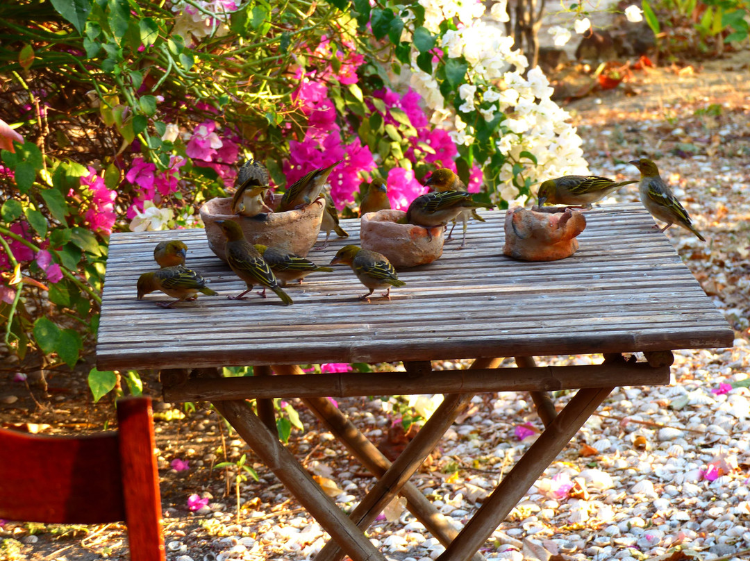 Keur Niaye Maison d'Hotes主图