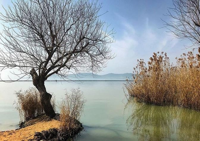 太湖鼋头渚景点图片