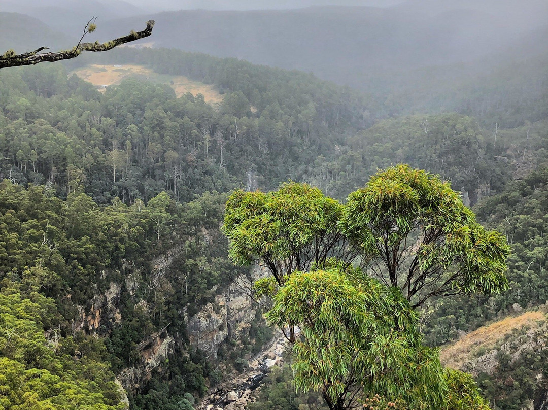 Leven Canyon景点图片