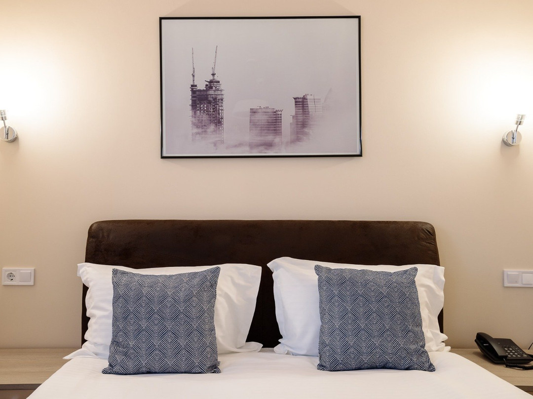 Pensiunea Select Central主图