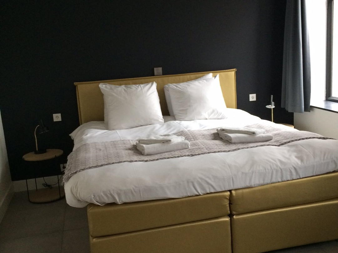 Boutique Hotel Nieuw Uilenburg主图