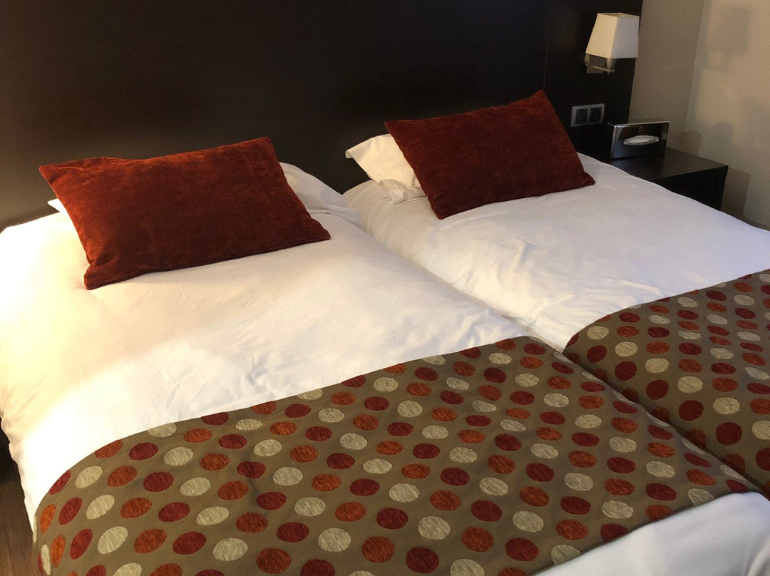 Best Western Hotel Des Barolles - Lyon Sud主图