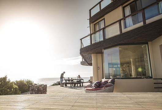 Dolphin Sunrise主图