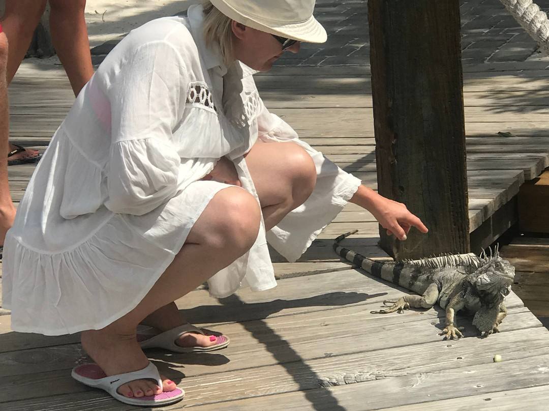 Renaissance Island-阿鲁巴岛必去景点