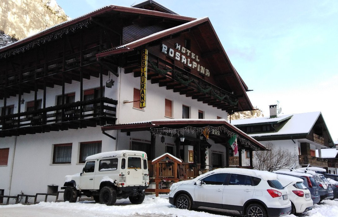 Hotel Rosalpina主图