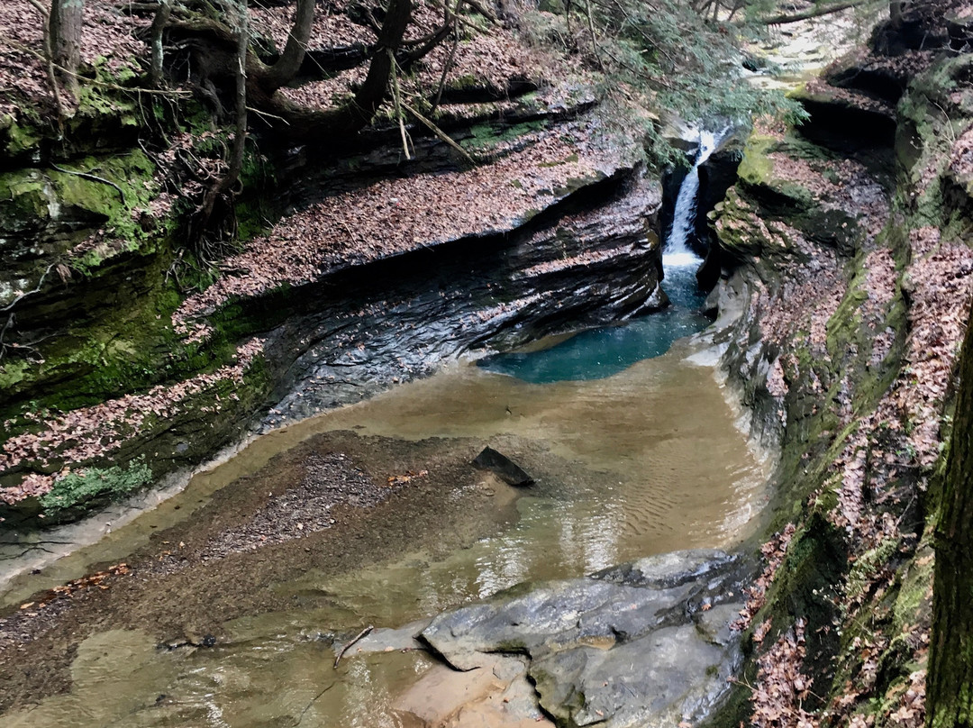Boch Hollow State Nature Preserve-洛根必去景点