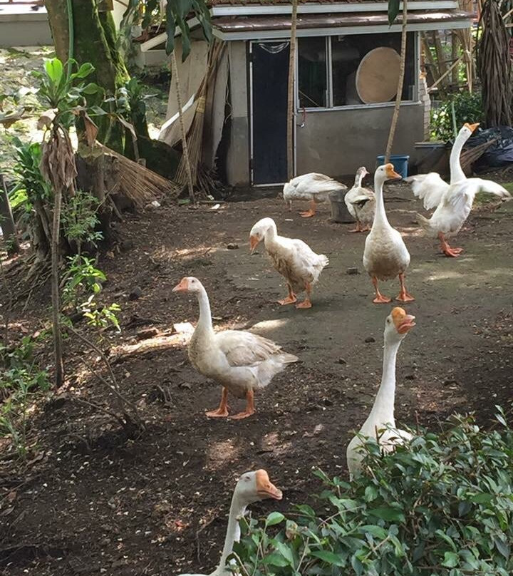 Villa Isola-万隆必去景点