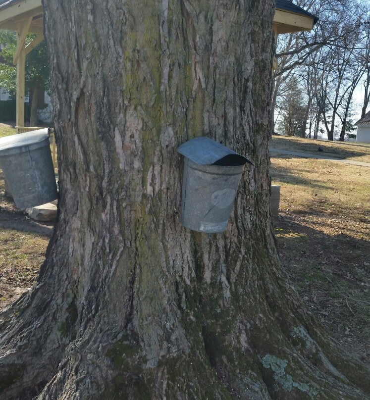 Federal Grove Bed and Breakfast主图