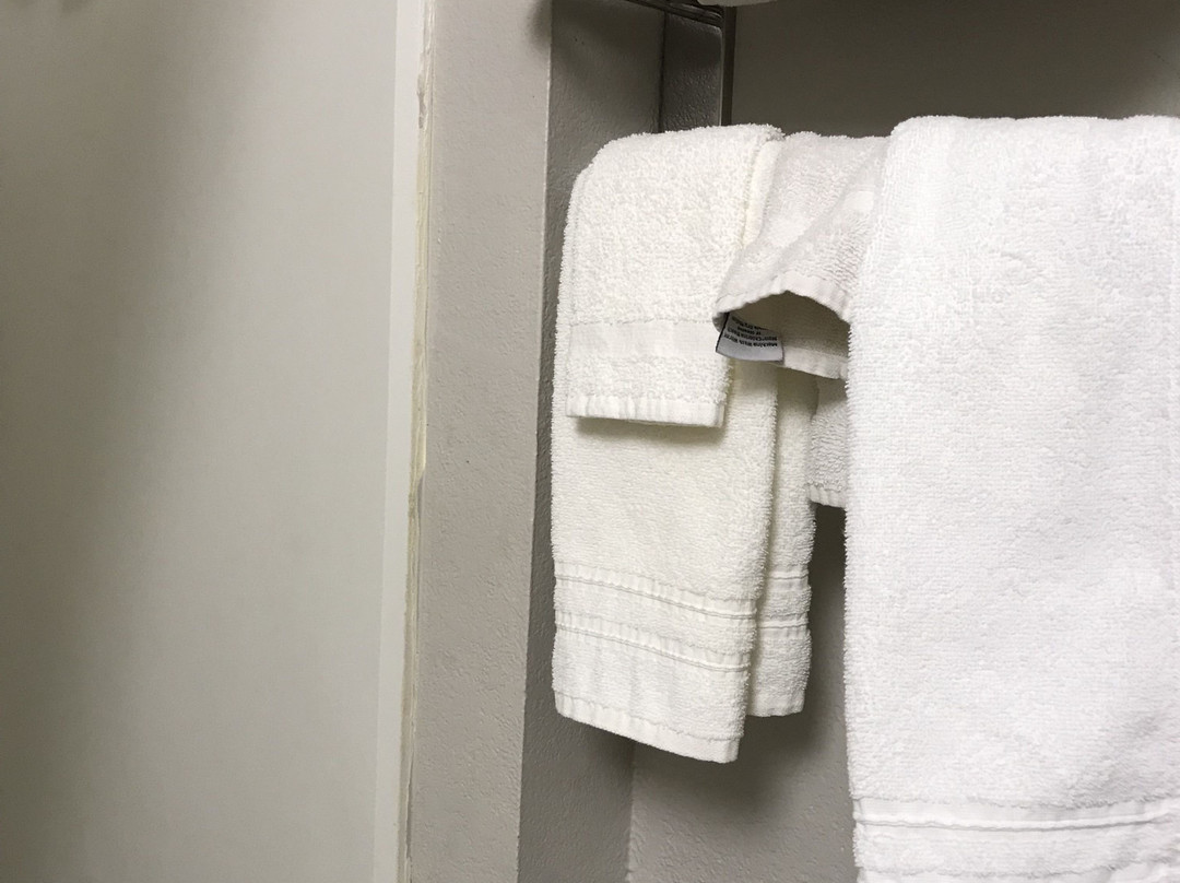 Microtel Inn & Suites主图