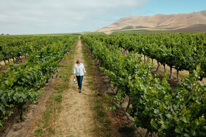 Cambria Estate Winery-圣玛丽亚必去景点