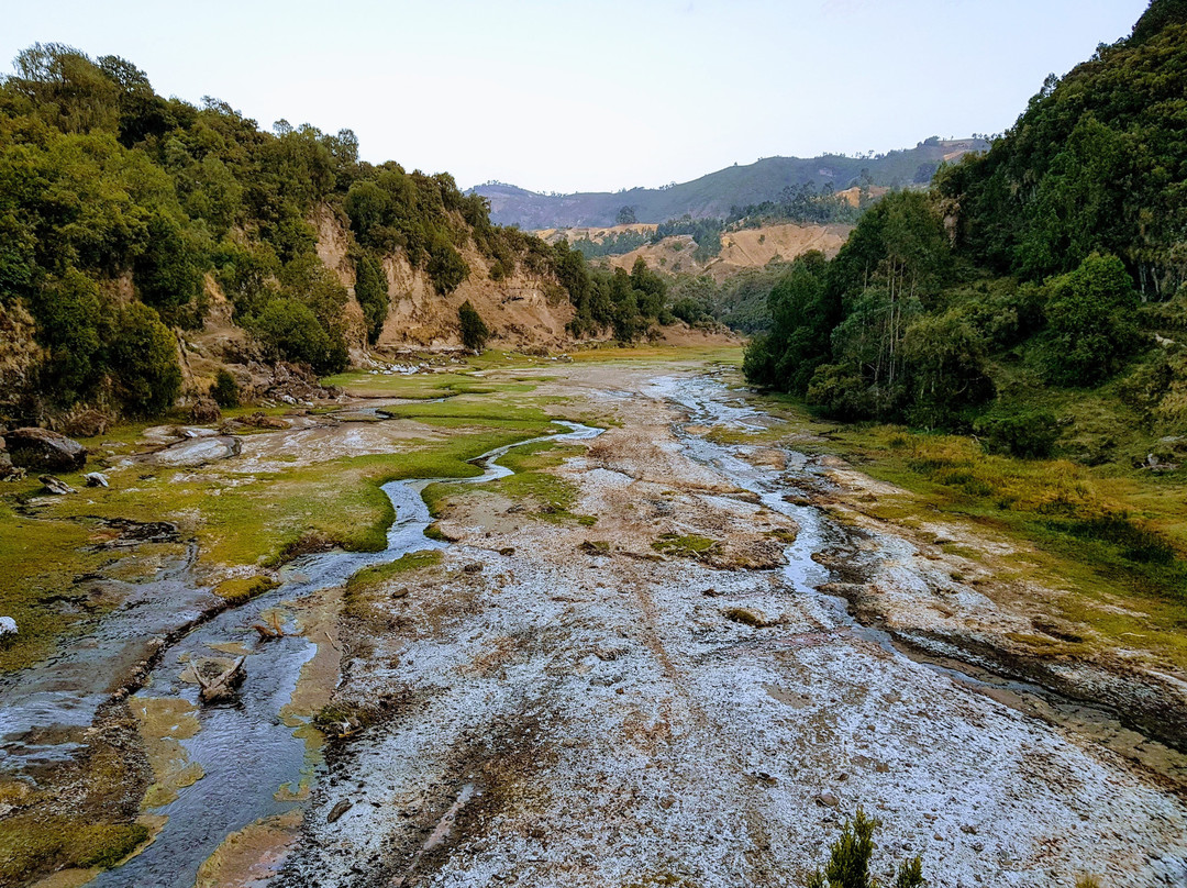The Wenchi Eco-Tourism Association- Day Tours景点图片