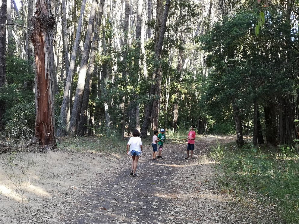 Reserva Nacional Federico Albert-Chanco必去景点