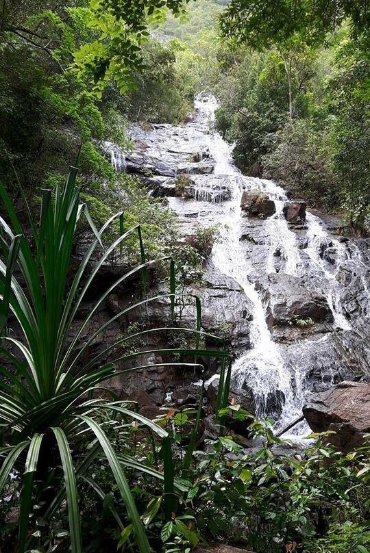 Namtok Ngao National Park景点图片